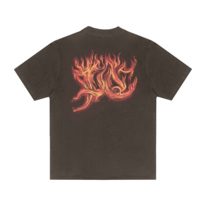 T-SHIRT-FLAMES-MARROM