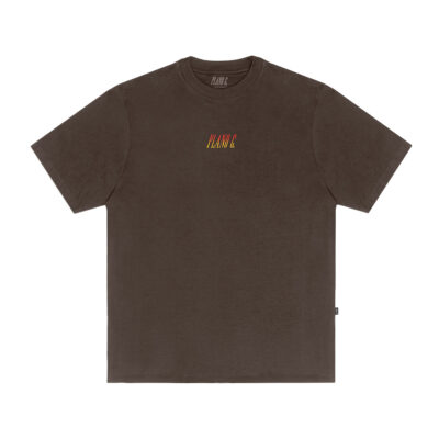 T-SHIRT-FLAMES-MARROM